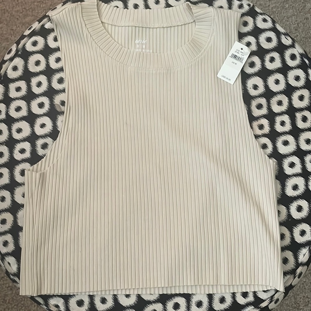Aerie Crop Top